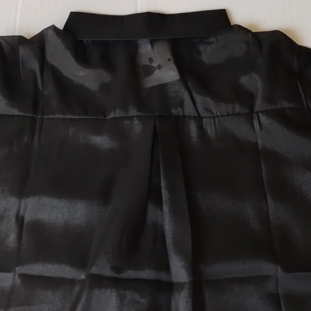 Sheer Blouse - Picture 4 of 8